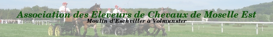 Association des Eleveurs de Chevaux de Moselle Est